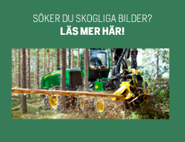 SKOGENbild - skogssektorns bildbyrå